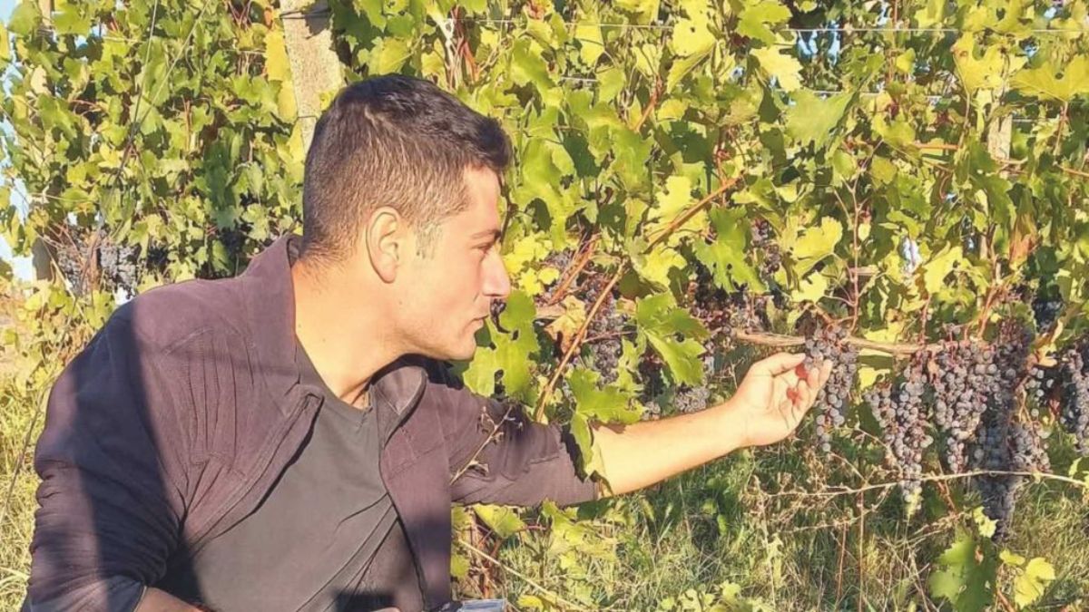 Azienda Acà, casale restaurato Montù Beccaria Oltrepò